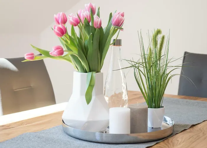 Miralior Apartment Mainz - 110M2 Wohnung Mit Grosser Terrasse * マインツ